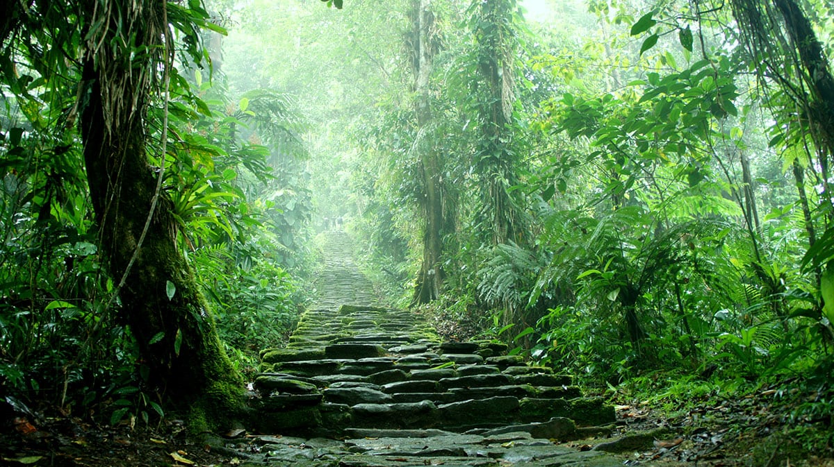 south central america ayahuasca retreat