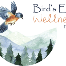 BirdsEye Wellness Logo 2022 transparent 220x220