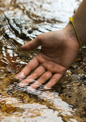 image asset hand 281x400