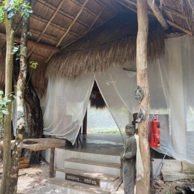 IMG 8357 400x400