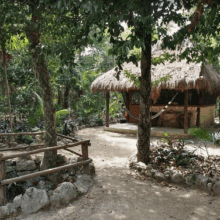 CAVELANDS ECOLODGES Chemuyil Mexico 220x220