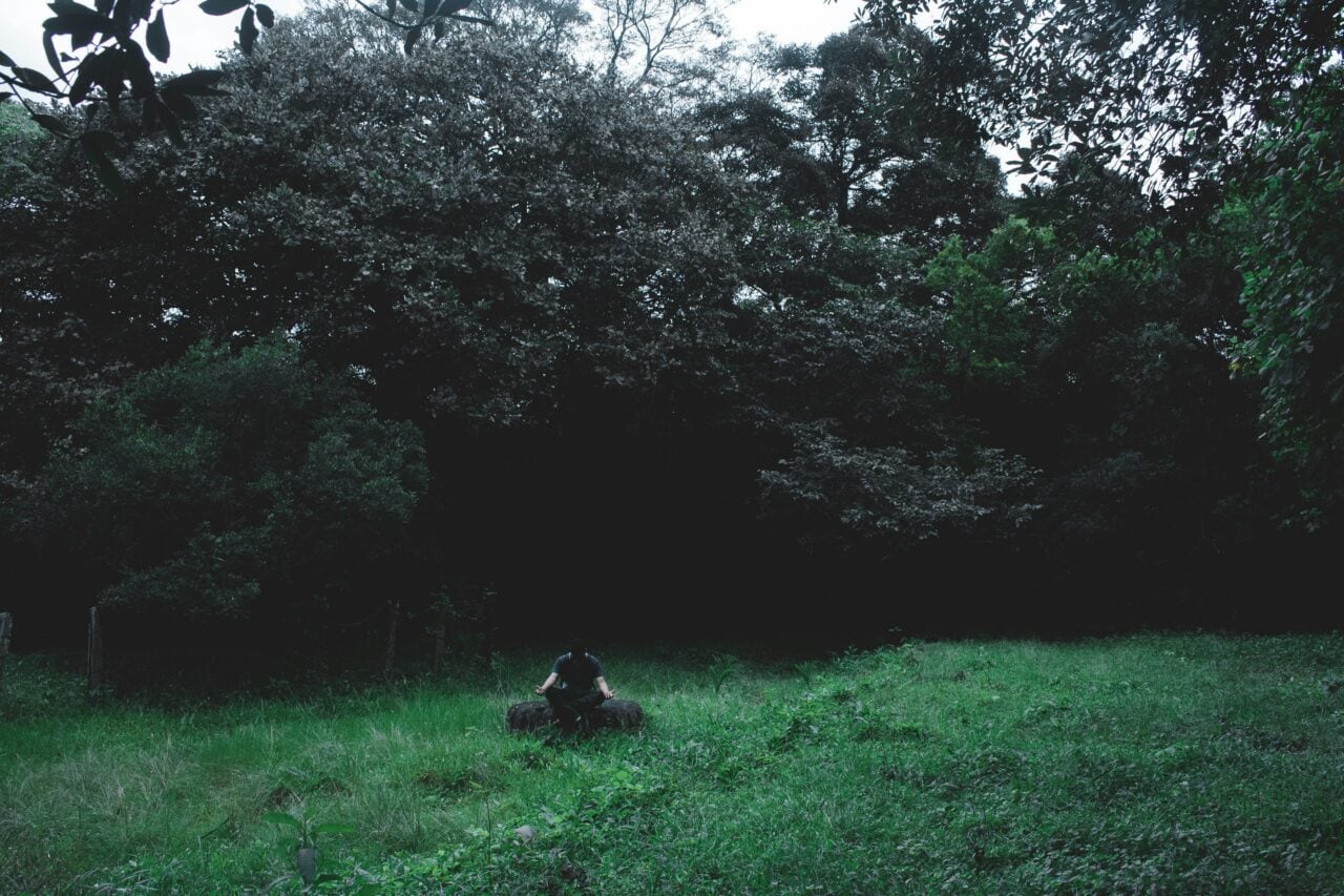 Veteran sitting alone in nature during psychedelic integration and healing journey