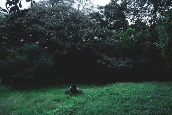 Veteran sitting alone in nature during psychedelic integration and healing journey
